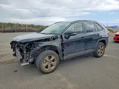 JTMW1RFVXRD114401 2024 TOYOTA RAV 4