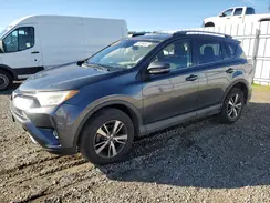 JTMWFREV0HD097772 2017 TOYOTA RAV 4