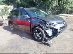 JTMWFREV1HJ135317 2017 TOYOTA RAV 4
