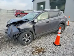 JTMWFREV4GJ060725 2016 TOYOTA RAV 4
