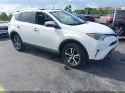 JTMWFREV4JJ753365 2018 TOYOTA RAV 4