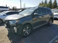 JTMWFREV5HJ712429 2017 TOYOTA RAV 4