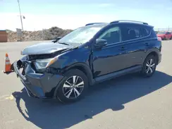 JTMWFREV5JJ736364 2018 TOYOTA RAV 4