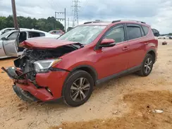 JTMWFREV6HJ101731 2017 TOYOTA RAV 4