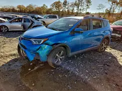 JTMWFREV6HJ101762 2017 TOYOTA RAV 4