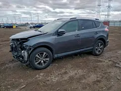 JTMWFREV9HD099794 2017 TOYOTA RAV 4