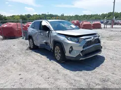 JTMY1RFV0KD008960 2019 TOYOTA RAV 4