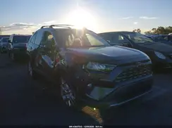 JTMY1RFV0KD027489 2019 TOYOTA RAV 4