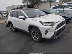 JTMY1RFV0KD513333 2019 TOYOTA RAV 4