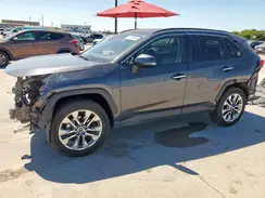 JTMY1RFV3KD515321 2019 TOYOTA RAV 4
