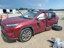 JTMY1RFV3PD100961 2023 TOYOTA RAV 4