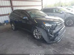 JTMY1RFV4KD505753 2019 TOYOTA RAV 4