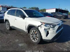 JTMY1RFV6KD513286 2019 TOYOTA RAV 4