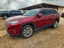 JTMY1RFV6LJ018038 2020 TOYOTA RAV 4