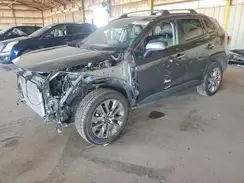 JTMY1RFV6PD101067 2023 TOYOTA RAV 4