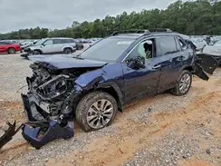 JTMY1RFV8RJ030765 2024 TOYOTA RAV 4