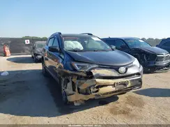 JTMZFREV1HJ123505 2017 TOYOTA RAV 4