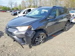 JTMZFREV4HJ709101 2017 TOYOTA RAV 4
