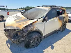JTMZFREV5HJ715201 2017 TOYOTA RAV 4