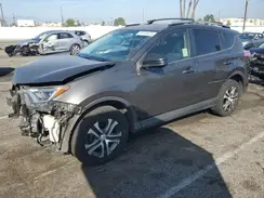 JTMZFREV6GJ081251 2016 TOYOTA RAV 4