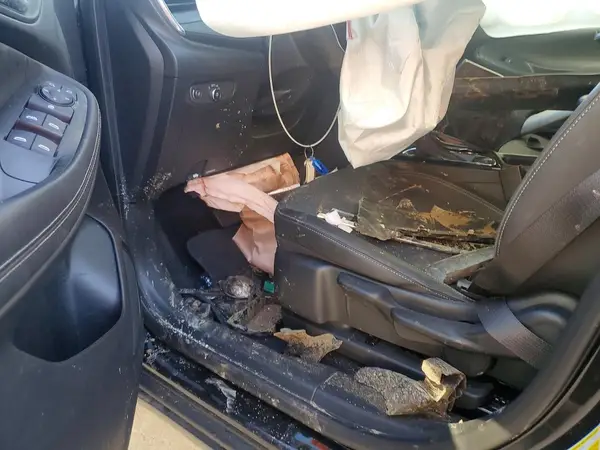KL4AMBSL4SB207858 2025 BUICK ENCORE GX - Image 8