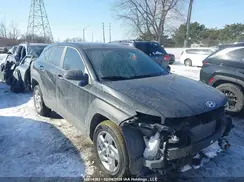 KM8HACAB4SU263004 2025 HYUNDAI KONA