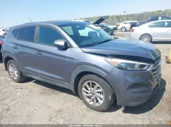 KM8J23A40HU338208 2017 HYUNDAI TUCSON