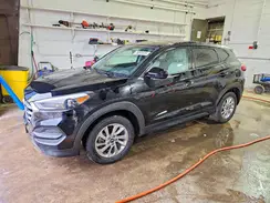 KM8J23A42HU278111 2017 HYUNDAI TUCSON