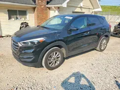 KM8J23A43GU040038 2016 HYUNDAI TUCSON