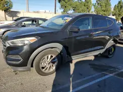KM8J23A43HU262807 2017 HYUNDAI TUCSON