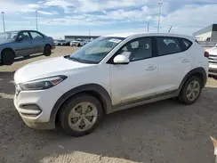 KM8J23A43HU307244 2017 HYUNDAI TUCSON
