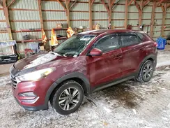 KM8J23A44GU186657 2016 HYUNDAI TUCSON