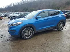 KM8J23A45HU538419 2017 HYUNDAI TUCSON