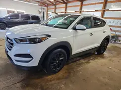 KM8J23A47HU413583 2017 HYUNDAI TUCSON