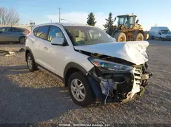 KM8J2CA42HU484447 2017 HYUNDAI TUCSON