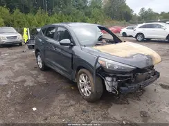 KM8J2CA42KU028021 2019 HYUNDAI TUCSON