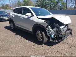 KM8J2CA42KU941037 2019 HYUNDAI TUCSON