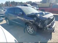 KM8J2CA43KU011003 2019 HYUNDAI TUCSON