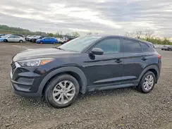 KM8J2CA43KU013012 2019 HYUNDAI TUCSON