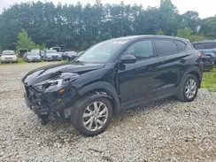 KM8J2CA43KU888946 2019 HYUNDAI TUCSON