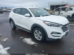 KM8J2CA44HU455824 2017 HYUNDAI TUCSON