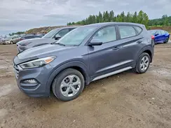 KM8J2CA44HU545006 2017 HYUNDAI TUCSON