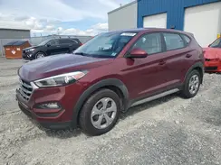 KM8J2CA44HU566230 2017 HYUNDAI TUCSON
