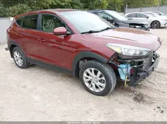 KM8J2CA44KU014170 2019 HYUNDAI TUCSON