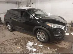 KM8J2CA44KU880113 2019 HYUNDAI TUCSON