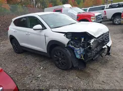 KM8J2CA44KU919086 2019 HYUNDAI TUCSON