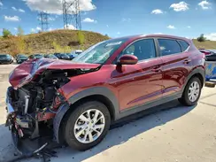 KM8J2CA45KU871534 2019 HYUNDAI TUCSON