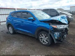 KM8J2CA45LU110729 2020 HYUNDAI TUCSON