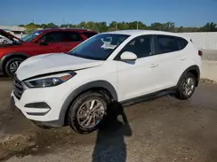 KM8J2CA46JU667114 2018 HYUNDAI TUCSON