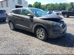 KM8J2CA46KU020990 2019 HYUNDAI TUCSON